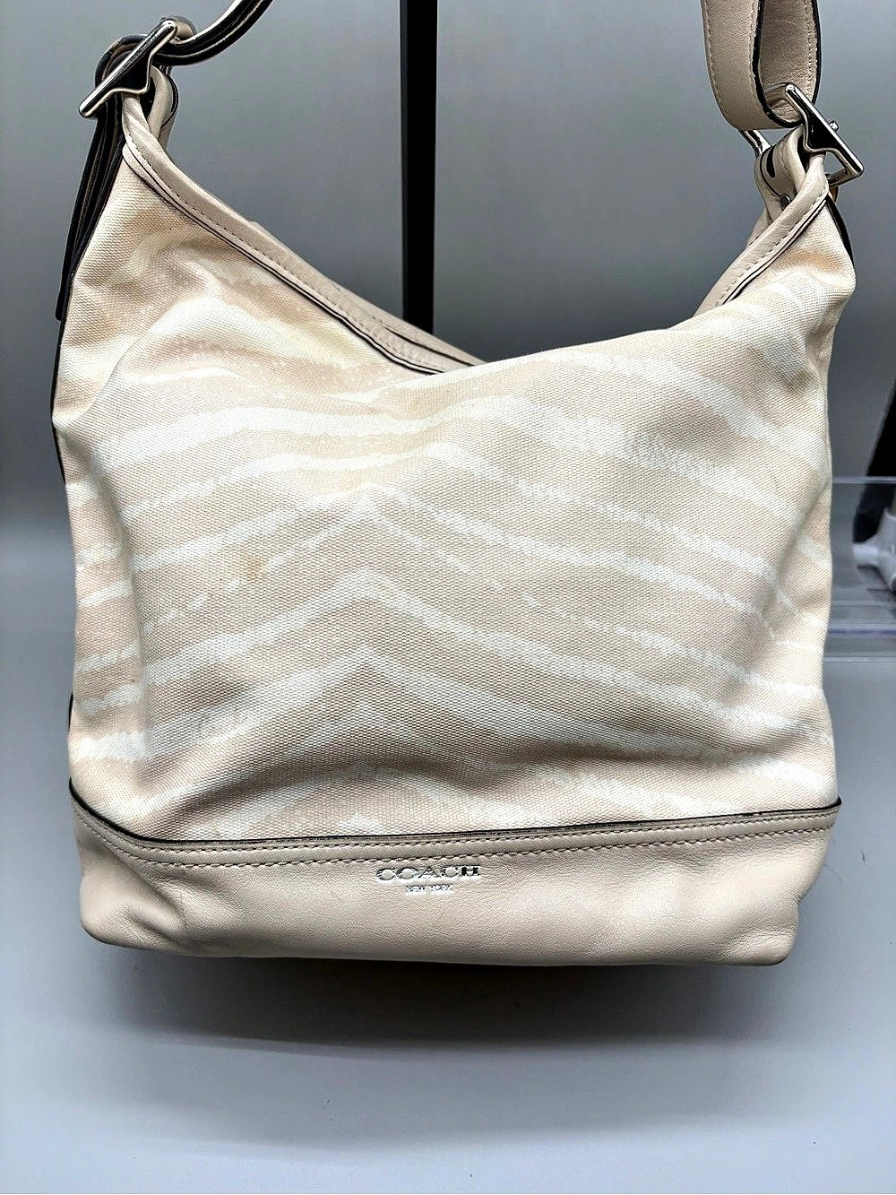 Coach Hobo Bag in Beige